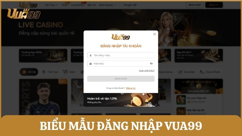 Biểu mẫu các bước đăng nhập tài khoản Vua99 chuẩn xác