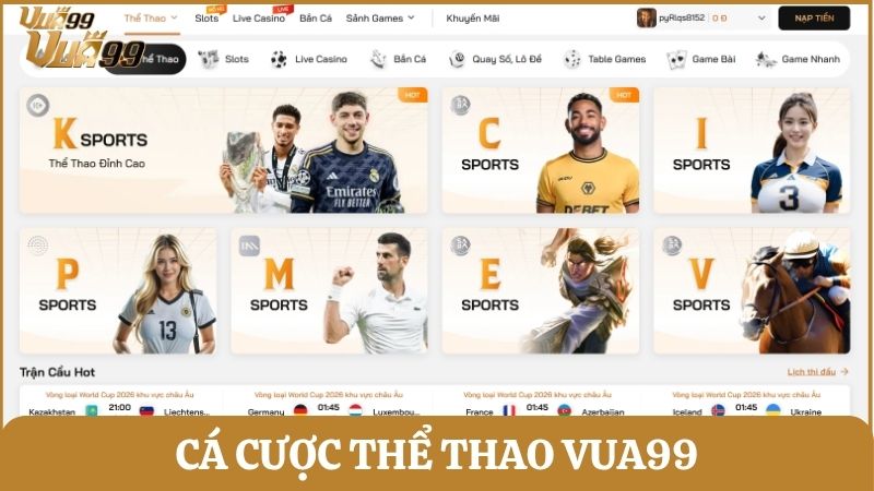 Cá cược thể thao quy tụ nhiều sảnh cược lớn với hàng trăm trận đấu lớn nhỏ mỗi ngày
