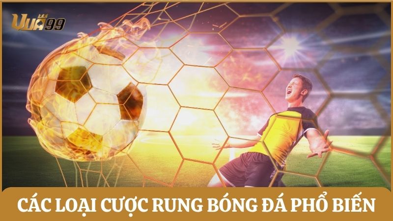 Tổng hợp các loại cược rung bóng đá phổ biến và hướng dẫn đọc kèo Running Ball chi tiết