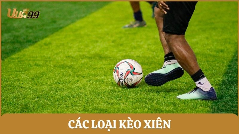 Những loại cược xiên được yêu thích nhất trong lĩnh vực cá độ bóng đá hiện nay