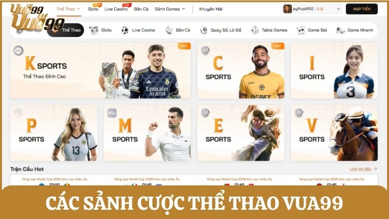 Những sảnh cược thể thao đa dạng được Vua99 cung cấp