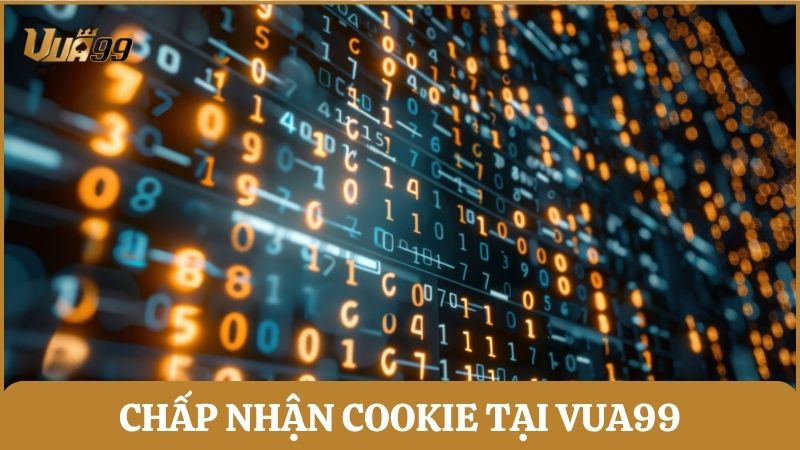 Trang web Vua99 sử dụng cookie nhằm nâng cao trải nghiệm cho người chơi