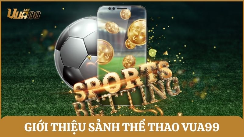 Giới thiệu sảnh thể thao Vua99 – Cá cược sôi động với vô vàn bộ môn hấp dẫn
