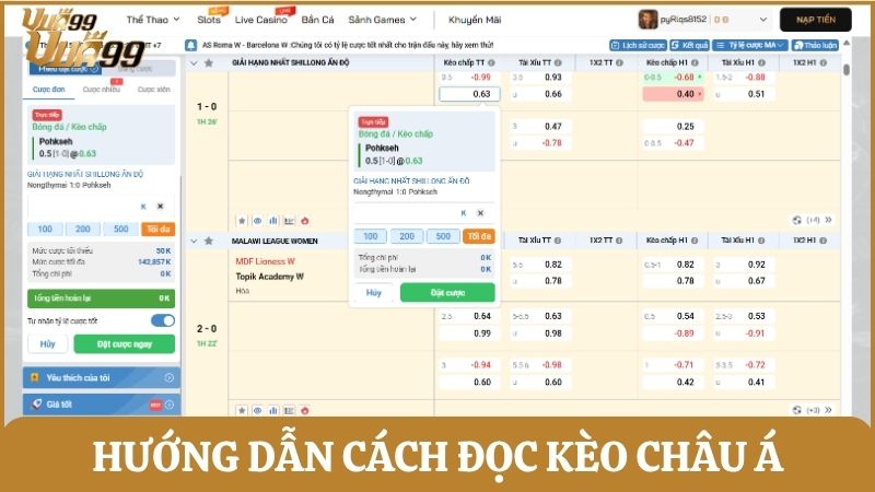 Hướng dẫn cách đọc các loại tỷ lệ kèo chấp châu Á phổ biến trên bảng kèo nhà cái
