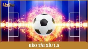 kèo tài xỉu 1.5