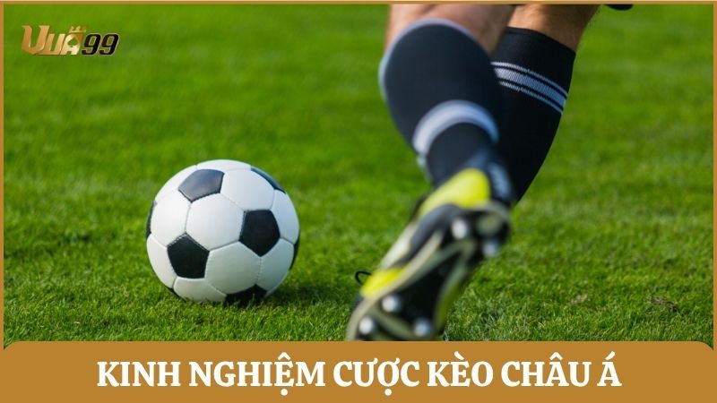 Chia sẻ kinh nghiệm cược châu Á hiệu quả, dễ thắng từ cao thủ