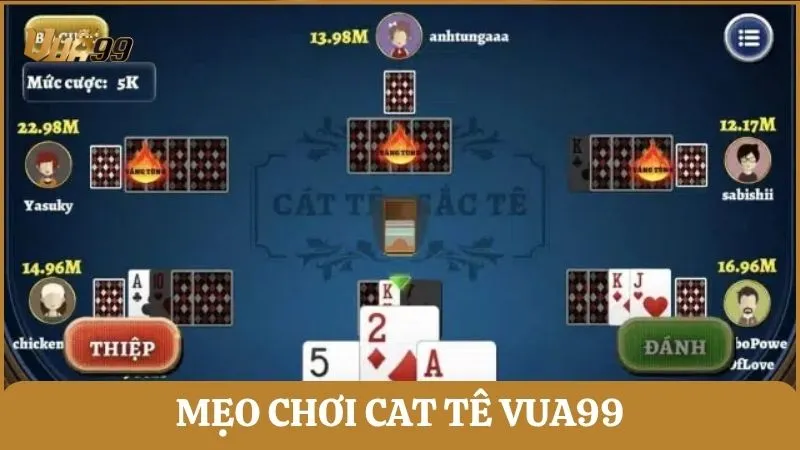 Mẹo chơi Cat tê Vua99 dành cho tân binh