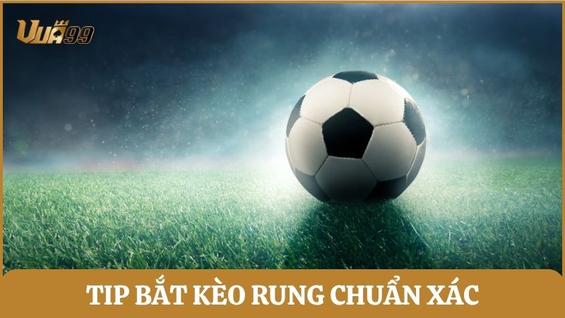 Học ngay những tip bắt kèo Running Ball chuẩn xác để nâng cao tỷ lệ thắng